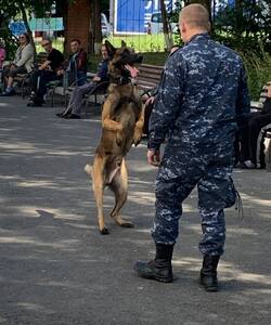 к ги4