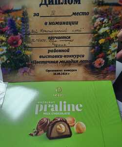 Выставка 5
