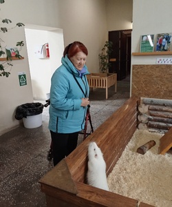 страна Енотия 3