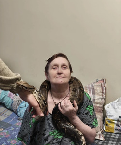 СтранаЕнотия 2