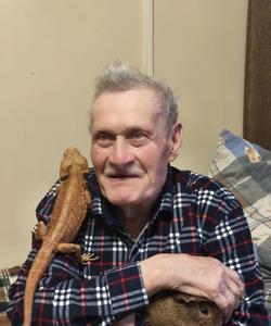 СтранаЕнотия 3