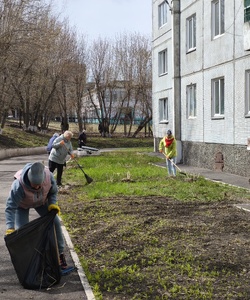 общегородской субботник 3