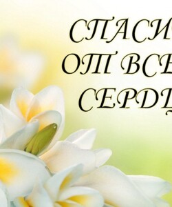 Спасибо
